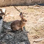 مزرعة للإقامة Donnastella *