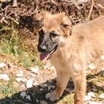مزرعة للإقامة Donnastella *