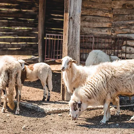 Donnastella Farm stay *