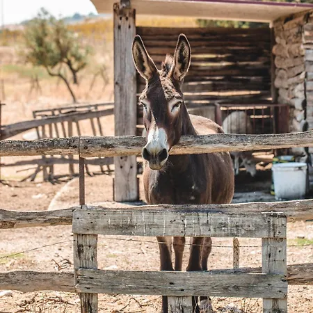 Donnastella Farm stay *