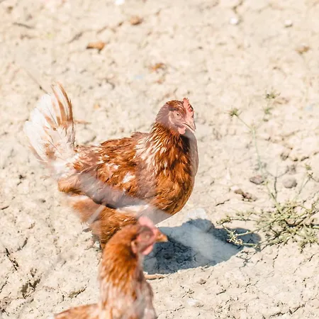 Donnastella Farm stay Guardavalle