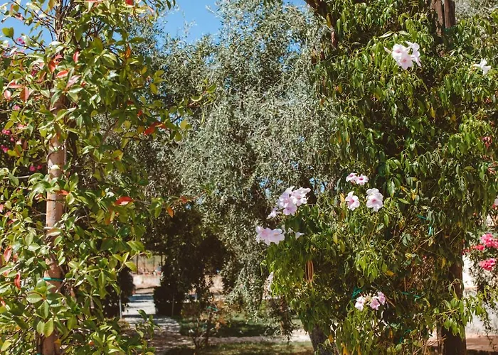 ファームステイ Donnastella *