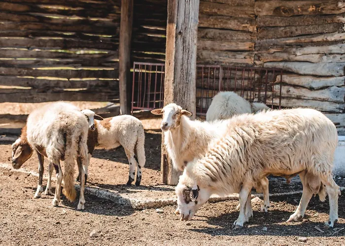 Donnastella ファームステイ *