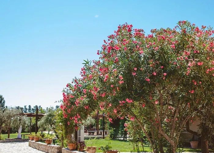 ファームステイ Donnastella *