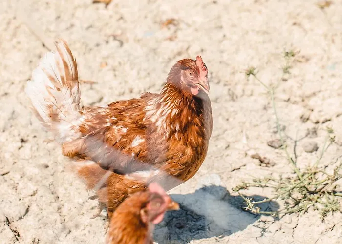 Donnastella ファームステイ Guardavalle